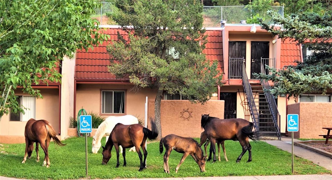 Pinecliff Village Resort Hollywood